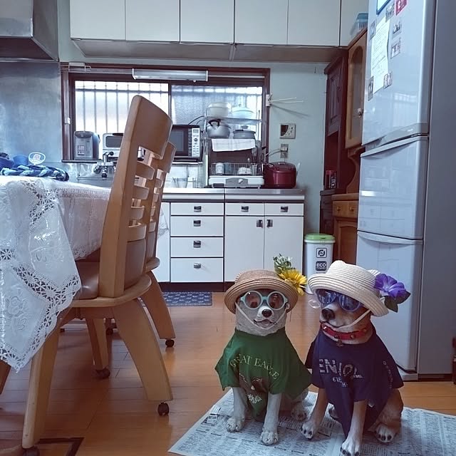 NOAHさんの部屋