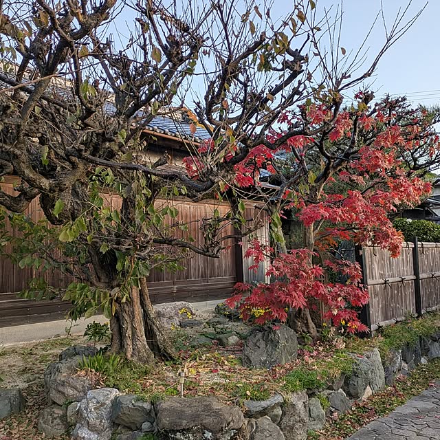 kuririnmamaさんの実例写真