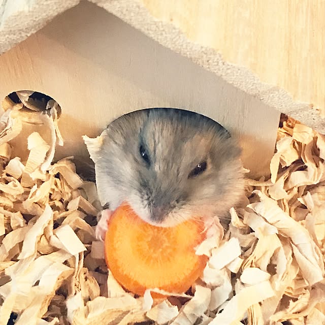 akko-rinさんの実例写真