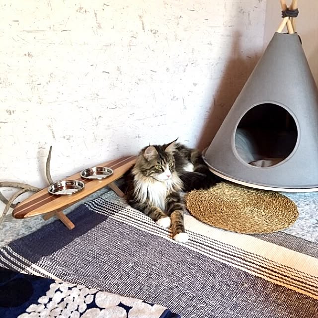 decorameowさんの実例写真