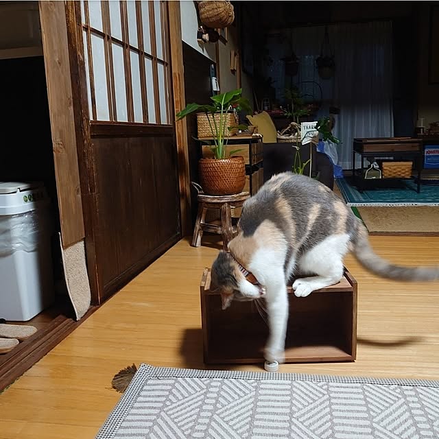 fukuさんの部屋