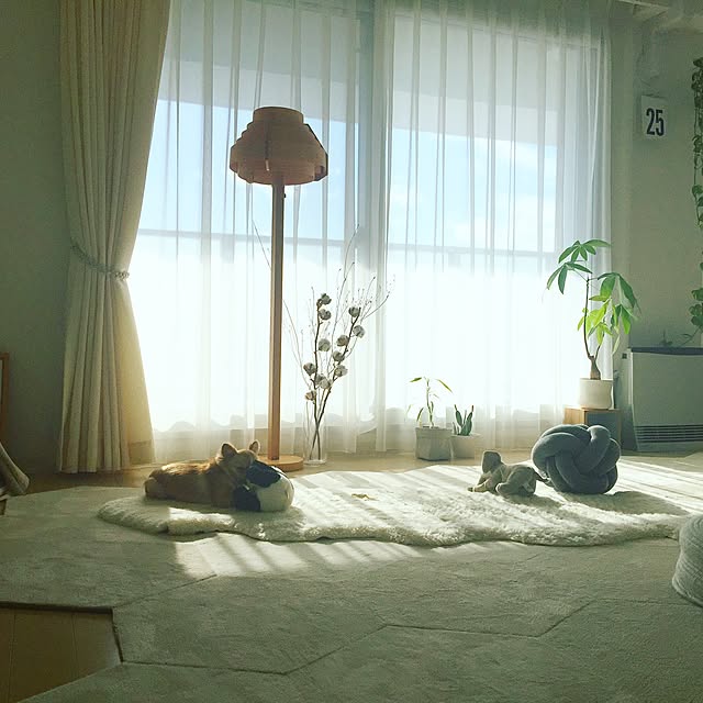 haruhinaさんの実例写真