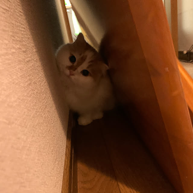 keiさんの実例写真