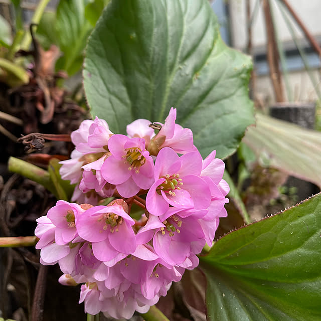 natsumiさんの部屋