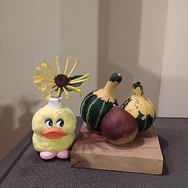 t.yumiさんの部屋