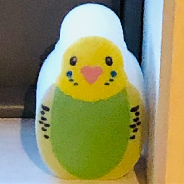 kaoさんの実例写真