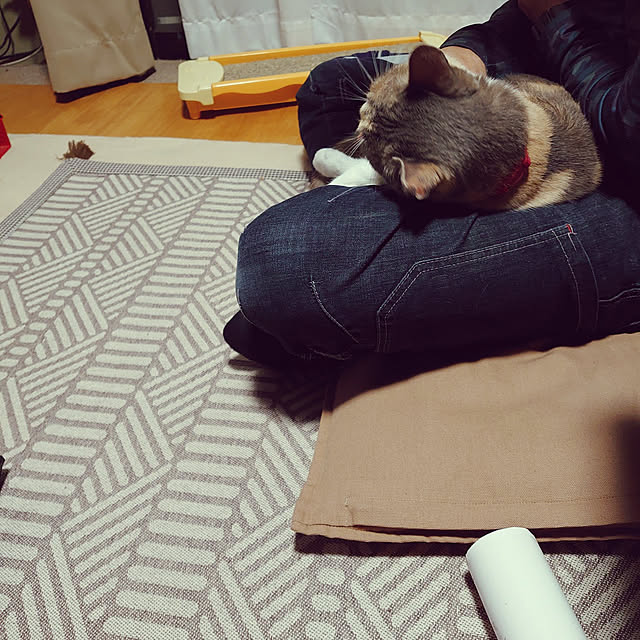 fukuさんの実例写真