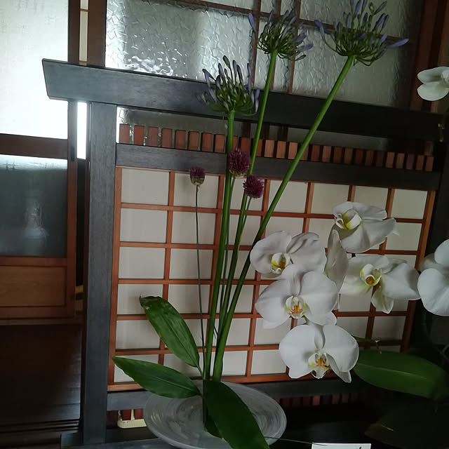 coco1204さんの実例写真