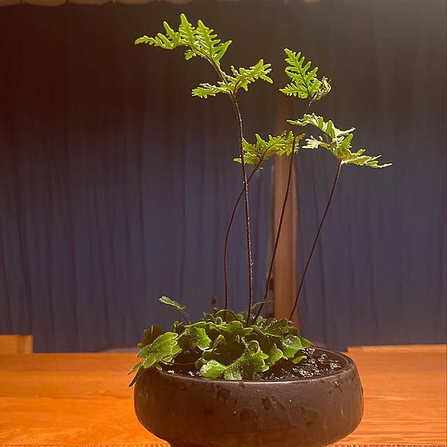 marucoさんの部屋