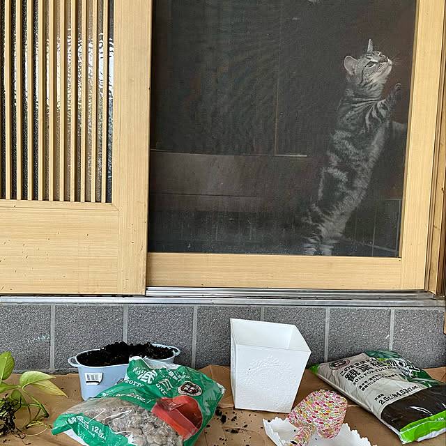 yumiさんの実例写真