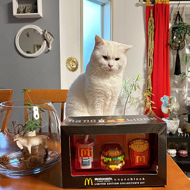 nyanko-beamさんの部屋