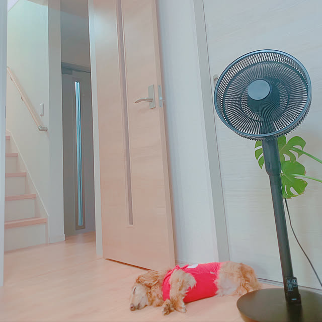Chimoko0307さんの実例写真