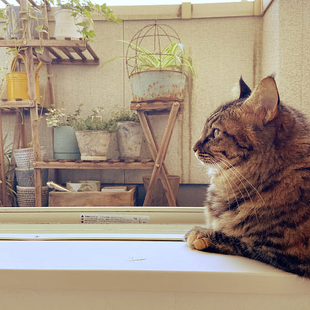 gachaさんの部屋