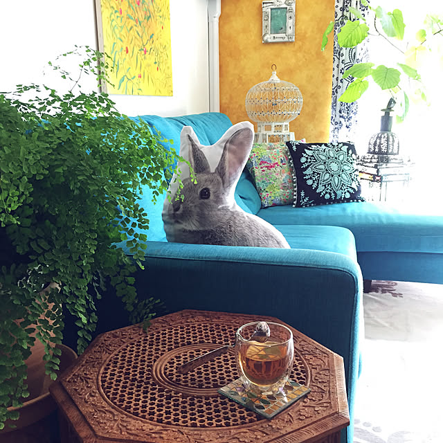 kfさんの実例写真