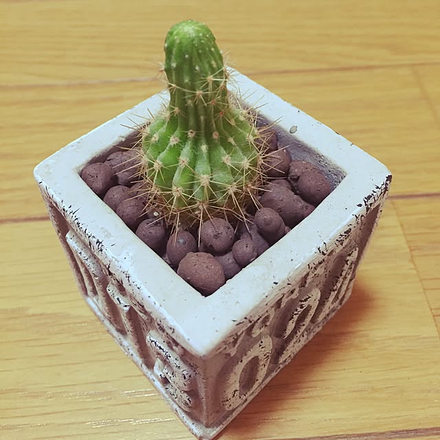 meeさんの実例写真