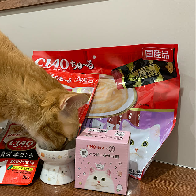 mikeume7さんの実例写真