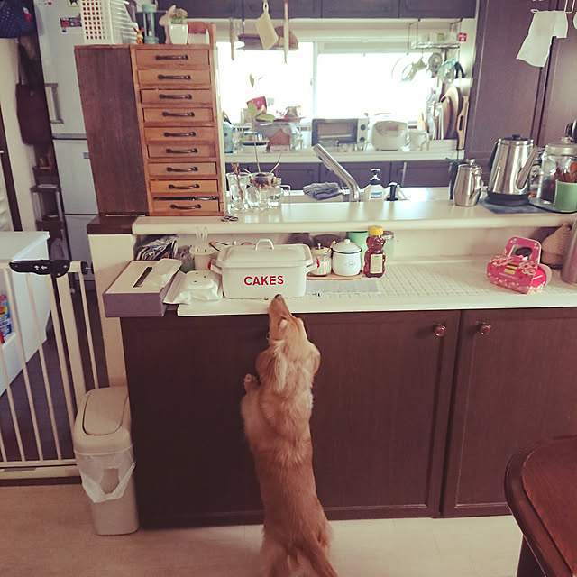JUNMARIKAさんの実例写真