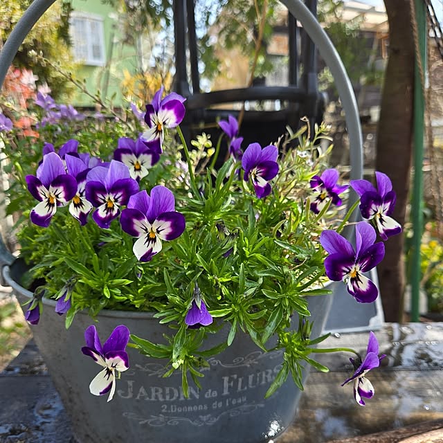 min_nimさんの実例写真