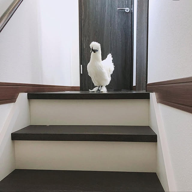 chappiさんの実例写真
