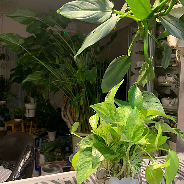 Aqettyさんの部屋