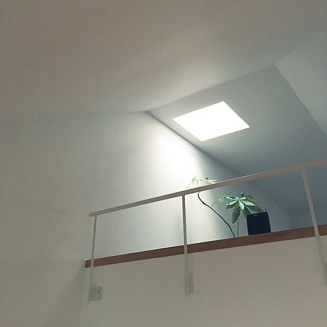 HALさんの実例写真