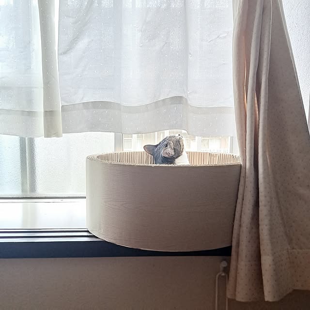shinoさんの部屋