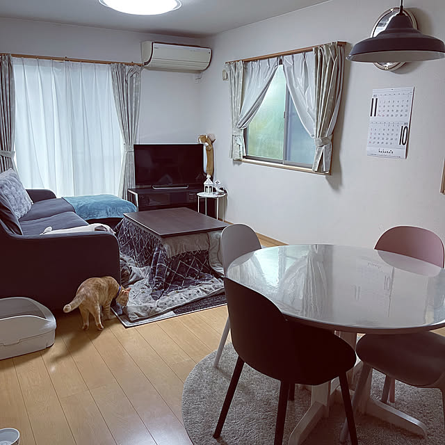 chiiさんの実例写真