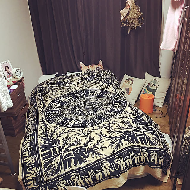 kazさんの実例写真