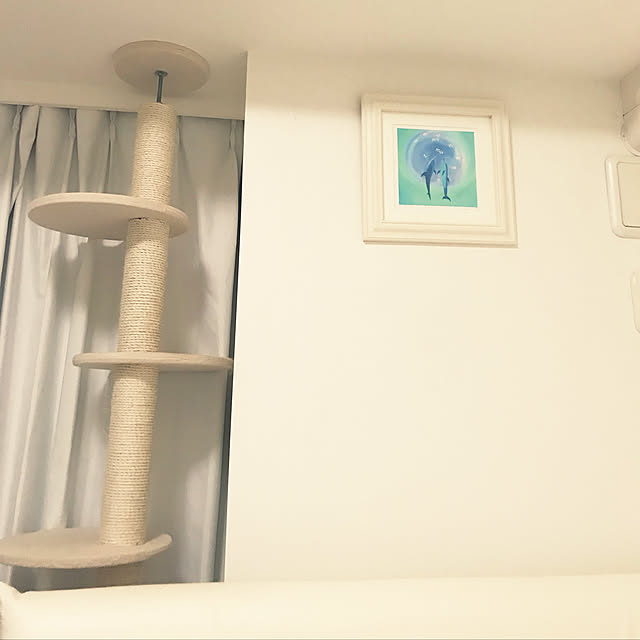 mamizoさんの実例写真