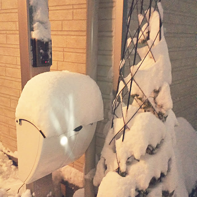 mmpoohさんの実例写真