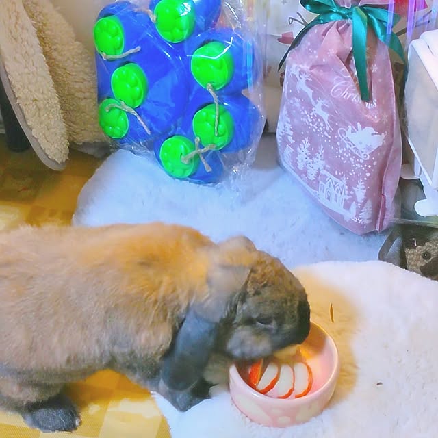 mariaさんの実例写真
