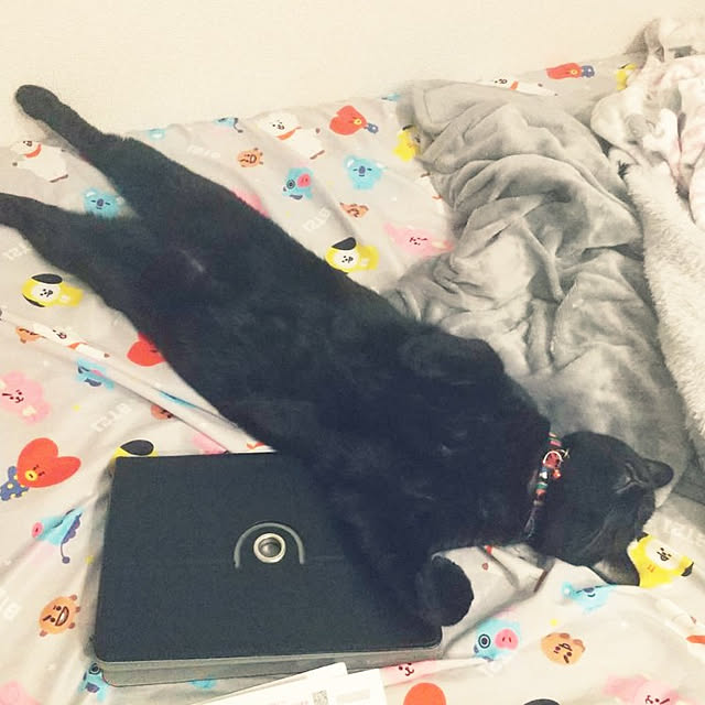 Tさんの実例写真
