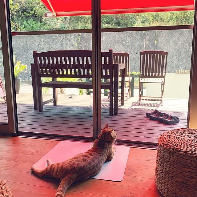 marippeさんの実例写真