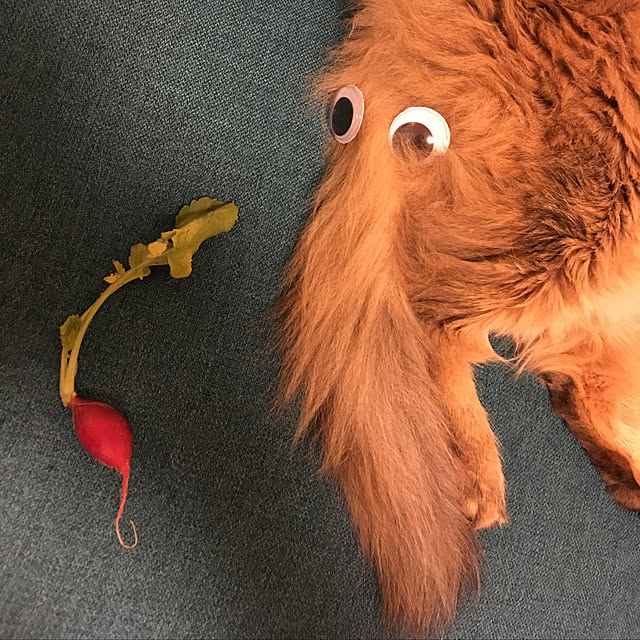 tokoさんの実例写真