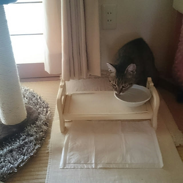 lilyさんの実例写真