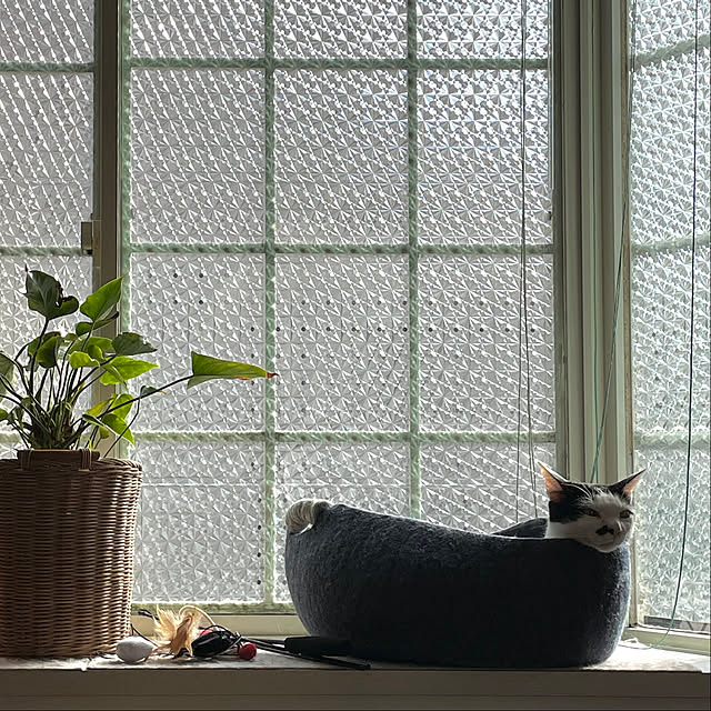 nobikoさんの部屋