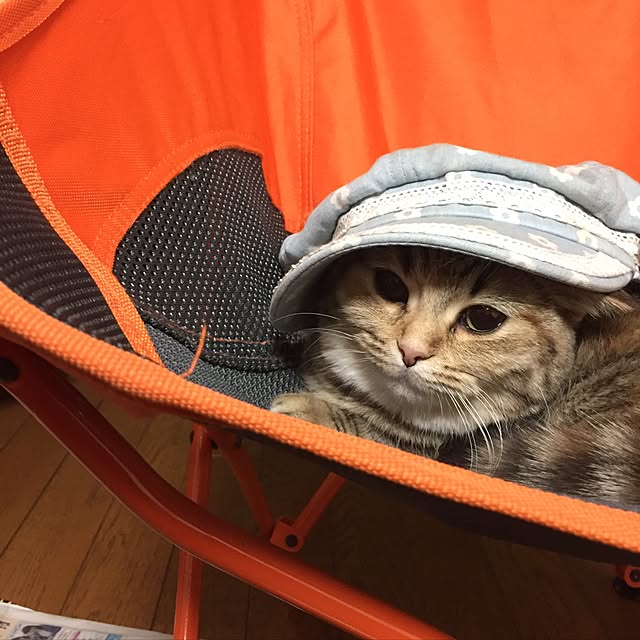 keibooさんの実例写真