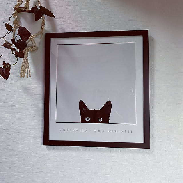 momokumiさんの実例写真