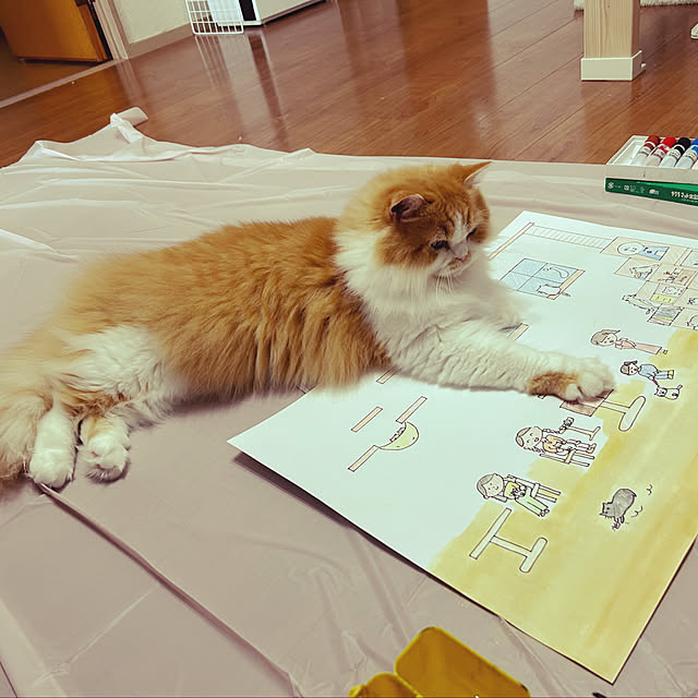 junさんの部屋