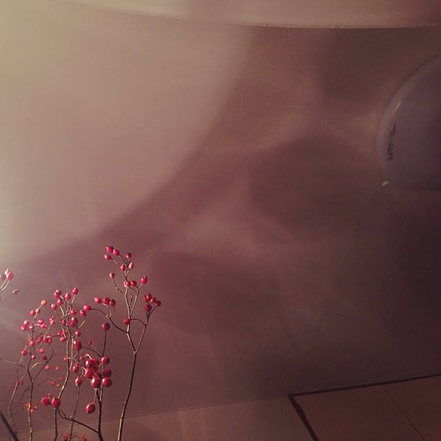 Emiさんの実例写真