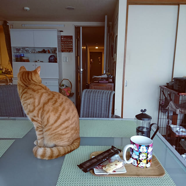 okyosan101さんの実例写真
