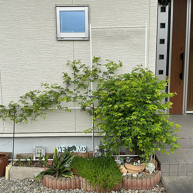 chiiyanさんの部屋