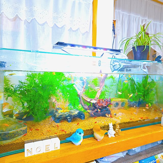 mariaさんの部屋