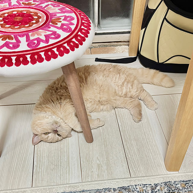 naokoさんの実例写真