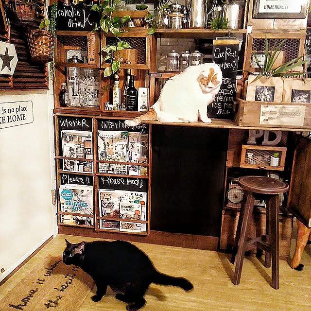 ugさんの実例写真