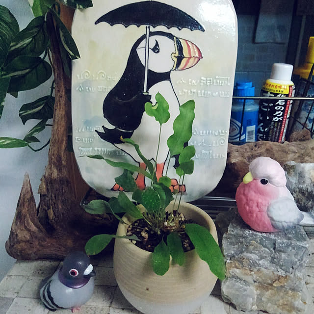 jiro19さんの実例写真