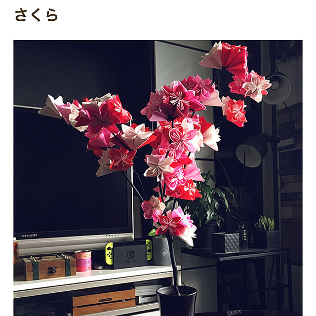 0415さんの実例写真