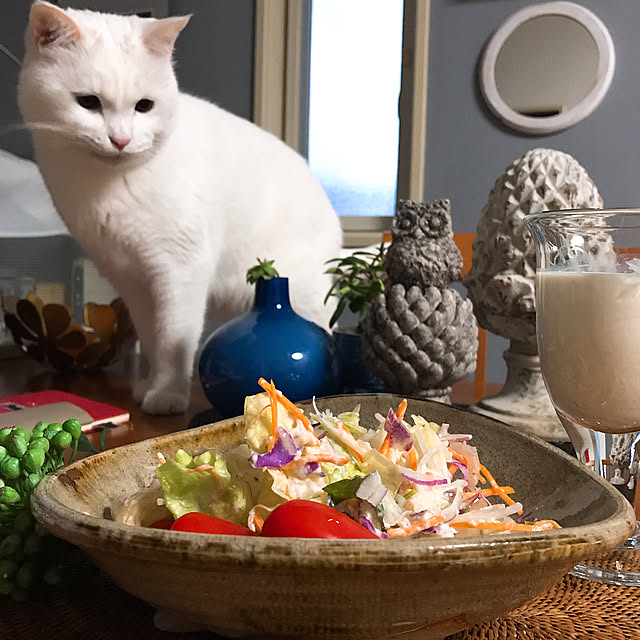 nyanko-beamさんの実例写真