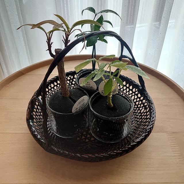 naturalさんの実例写真