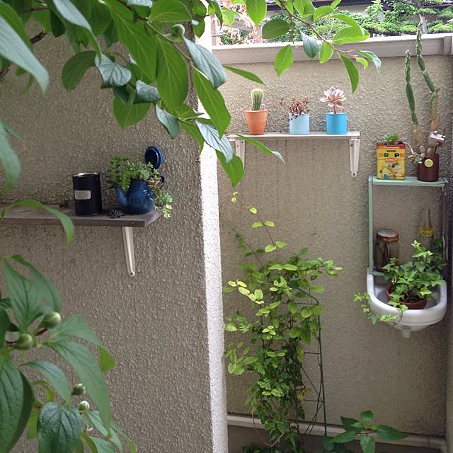 oranginaさんの実例写真
